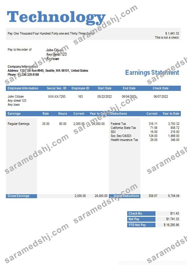 technology company paystub template in Word and PDF formats